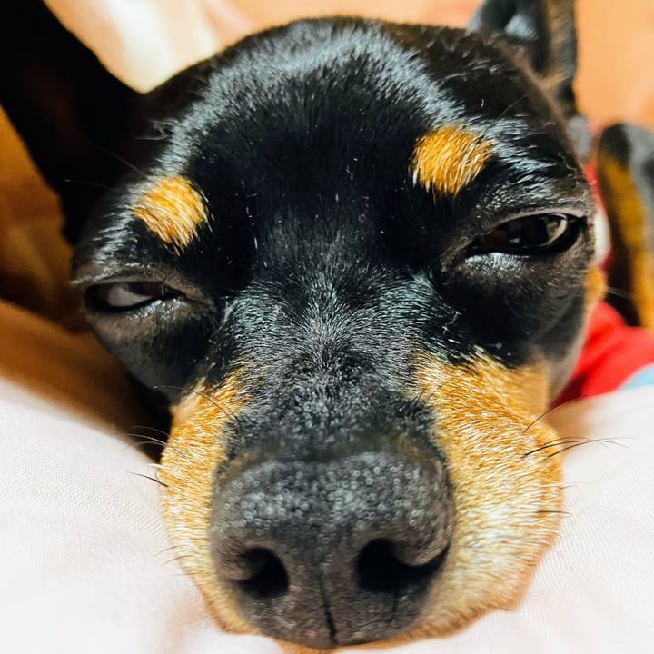 Cc76e570 27c1 4103 9854 2fec9ebcf682 1728071654870