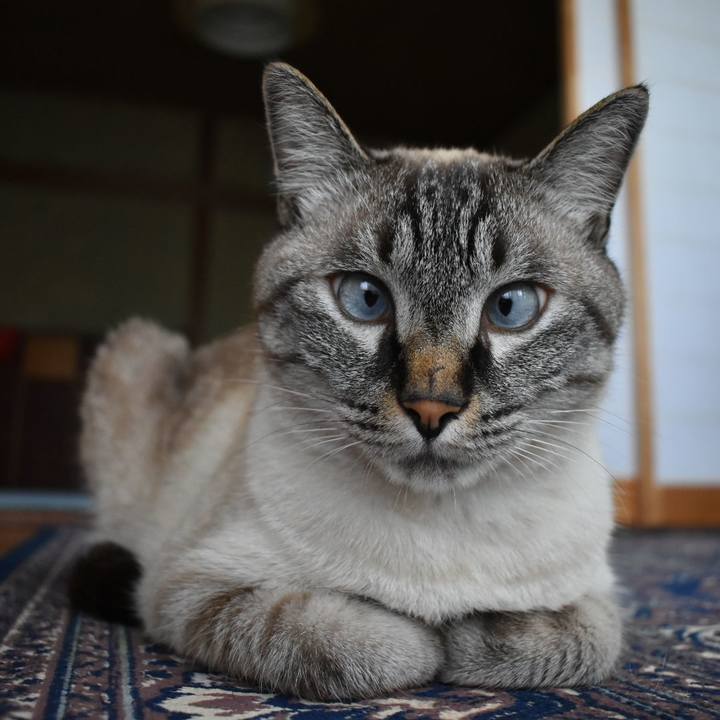 Cc76f2ba 4ade 48ba 89ae 5d92de634d8a 1532047990658