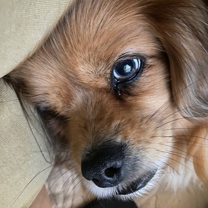 Cc77077c e948 4788 90b8 878282f6f68e 1675297958088