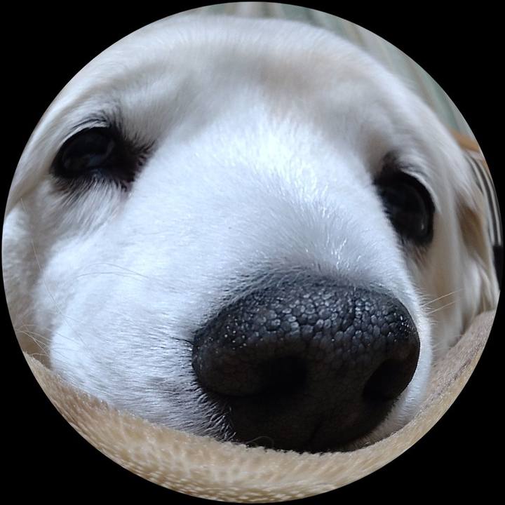 Cc770d66 bafb 4b1e 8cbd 58905beb5eaf 1641525871518