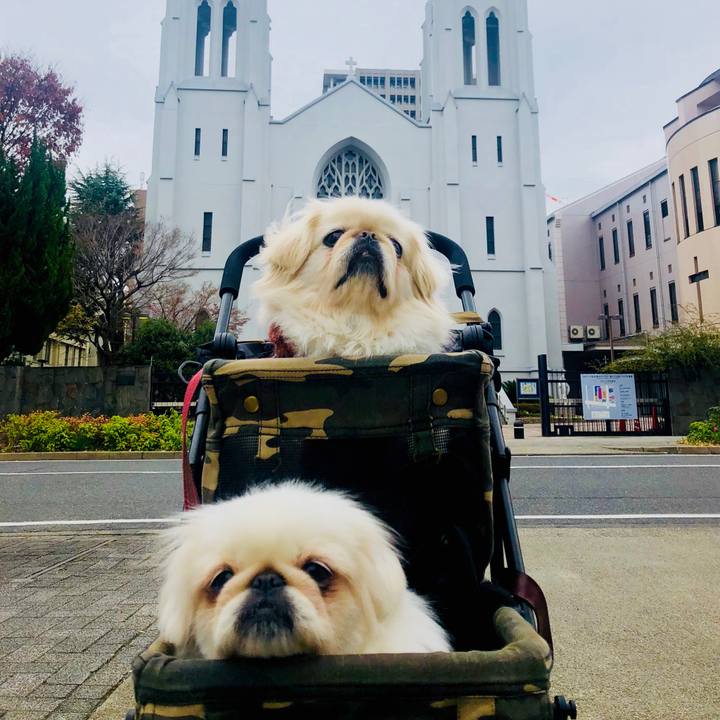 Cc7715cb da33 4698 a06d d869680a9706 1577328249542