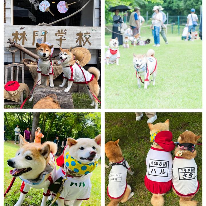 Cc774cce 0d20 412f 8e84 f9ade904d2b5 1751283173172