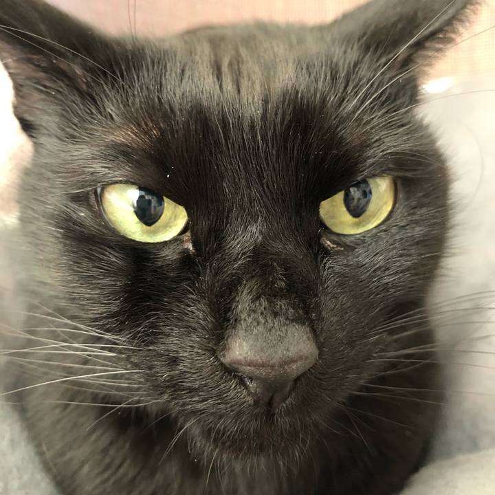 Cc77750c c662 4521 ba6e 42eab694ef94 1613877378979