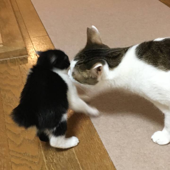 Cc778812 28ed 49fa b033 1476b5c91f72 1625735164227