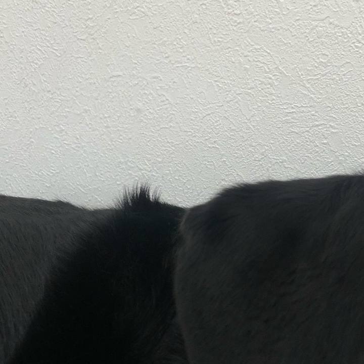 Cc77ad2f 3056 459a 96c9 ddab13d50a73 1602302743445