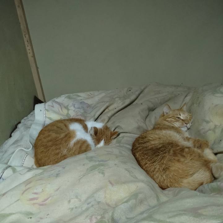 Cc77fa1e 98f6 49cf 81de fdfed15e9a33 1767357057587