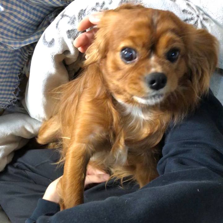 Cc780110 2f31 470f a7c7 fcf185cc4d73 1578489122315