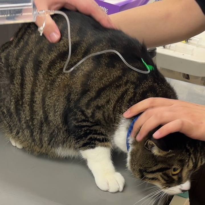 Cc7802c9 0e4f 40f8 8042 d42e0a9338b8 1761355248391