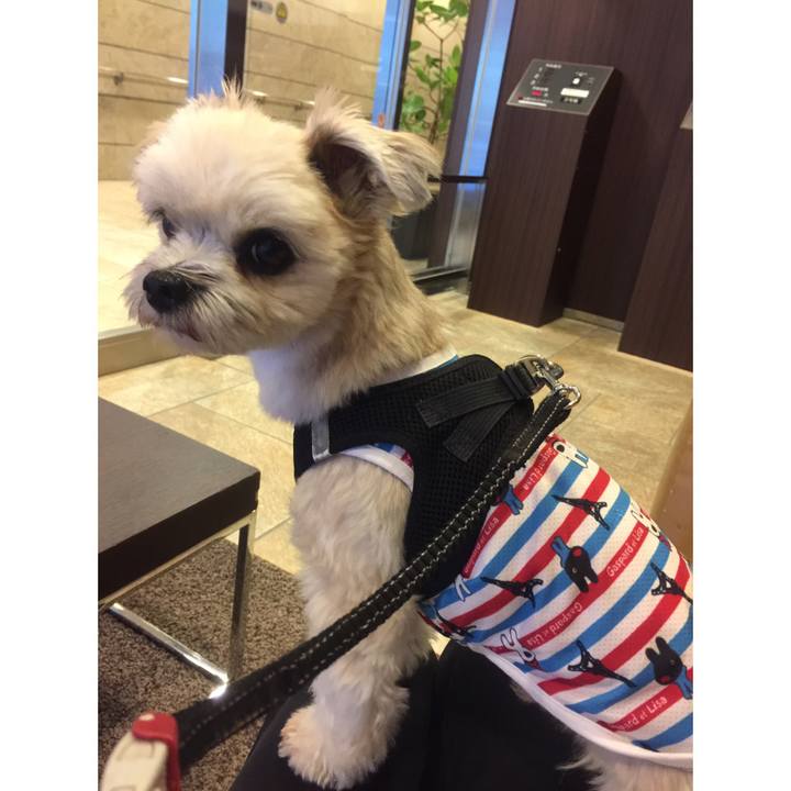 Cc78083d f7f2 4571 89d0 ea4924972197 1540106147535