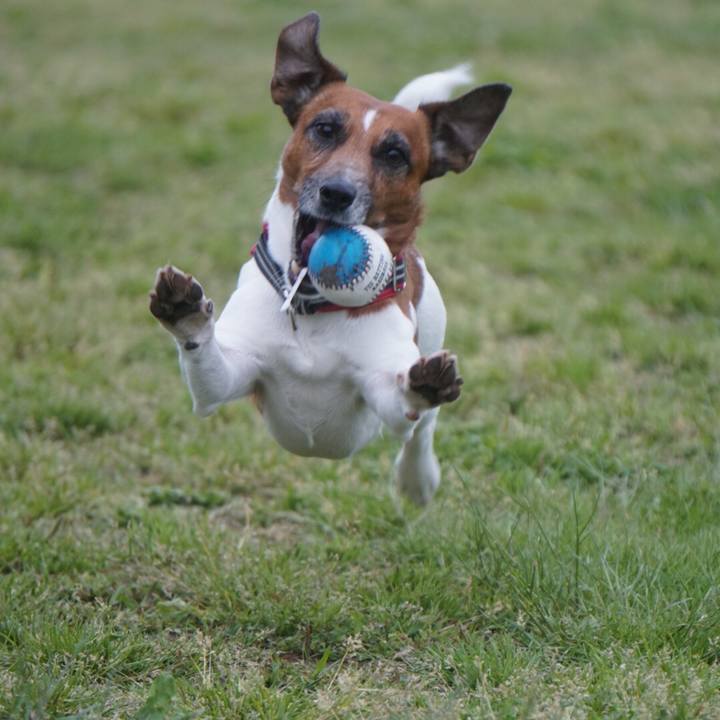 Cc78ba52 c0ec 42a0 9665 dfd0be8d556c 1557356390100