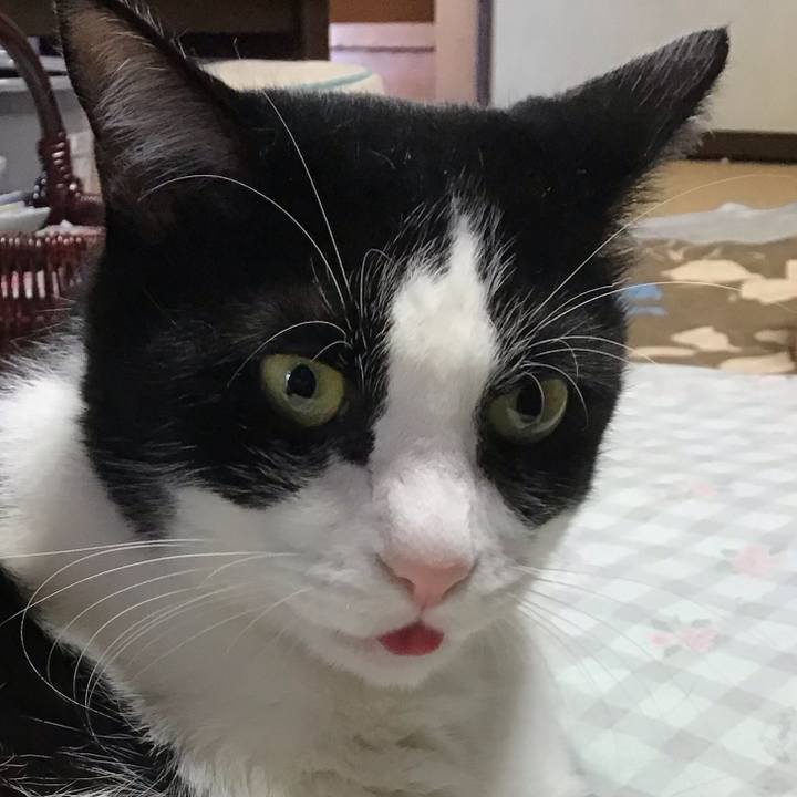 Cc78c3aa 0ba7 48bd 87a9 bb67ae419a98 1728554267788