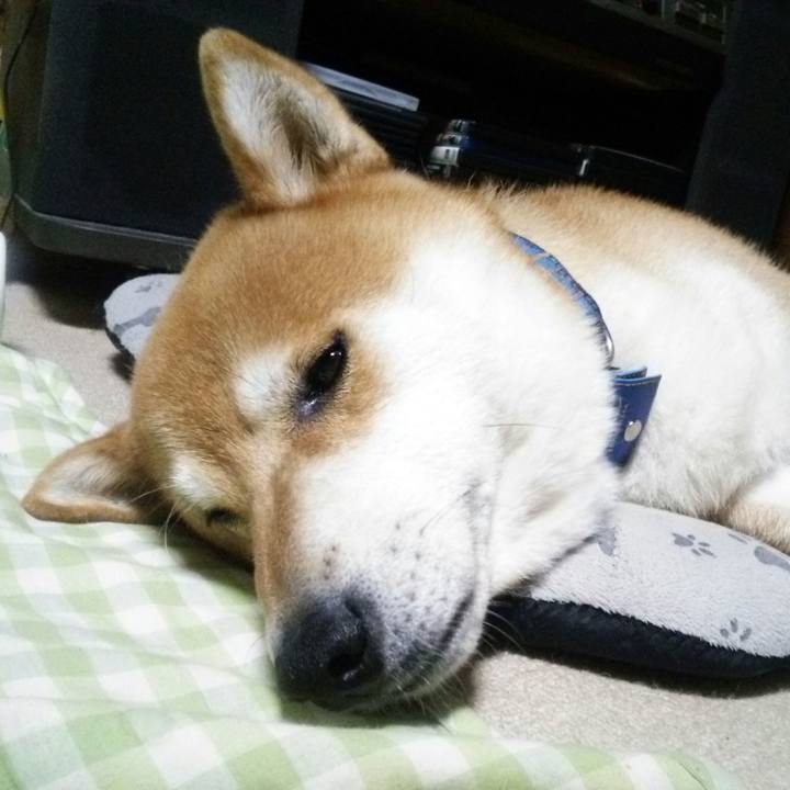 Cc78c3c7 082b 413b 920c 7db95d42efea 1539250472121