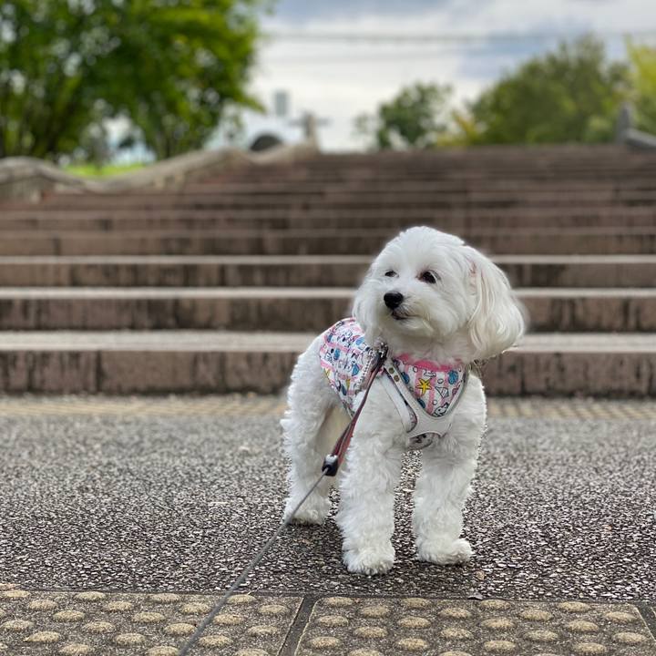 Cc78c910 879e 4966 ad7f 3e5f1a80d87d 1571808176469