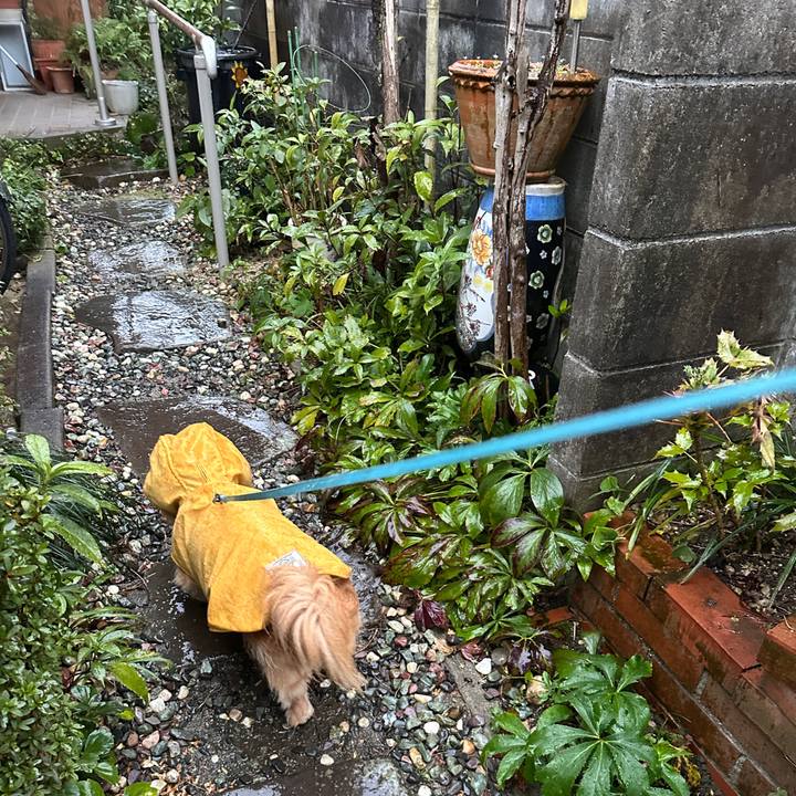 Cc78d23e 36b2 42ff adf9 3bb16236ae5b 1738455944994