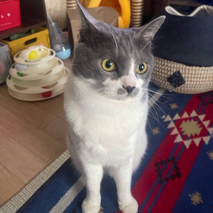 Cc78f574 8184 40e4 b33a 16a787e92636 1683426055400