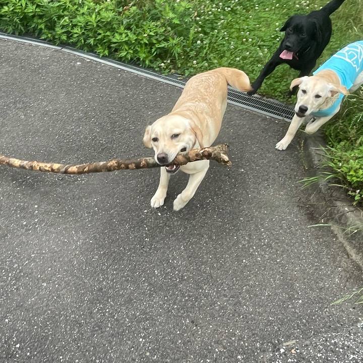 Cc790f51 c9d1 40f8 85f9 b5390117269f 1622013499690