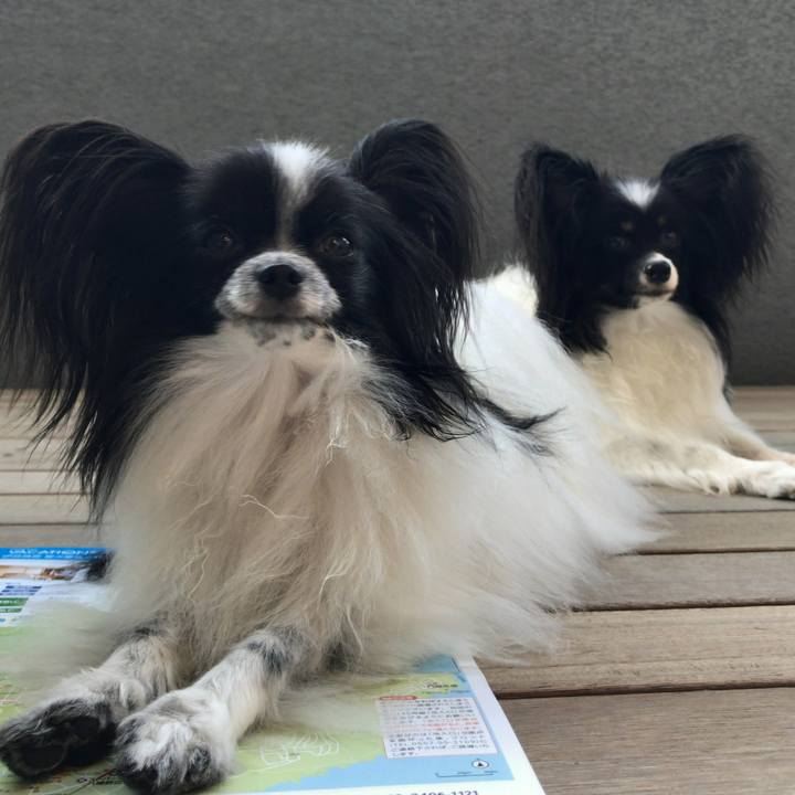 Cc791bcd 2360 43cb 802e 18d4821224df 1538876503823