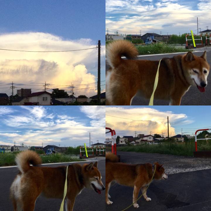 Cc792b5f a9d7 4920 be6d ba1b9859064e 1599641761969