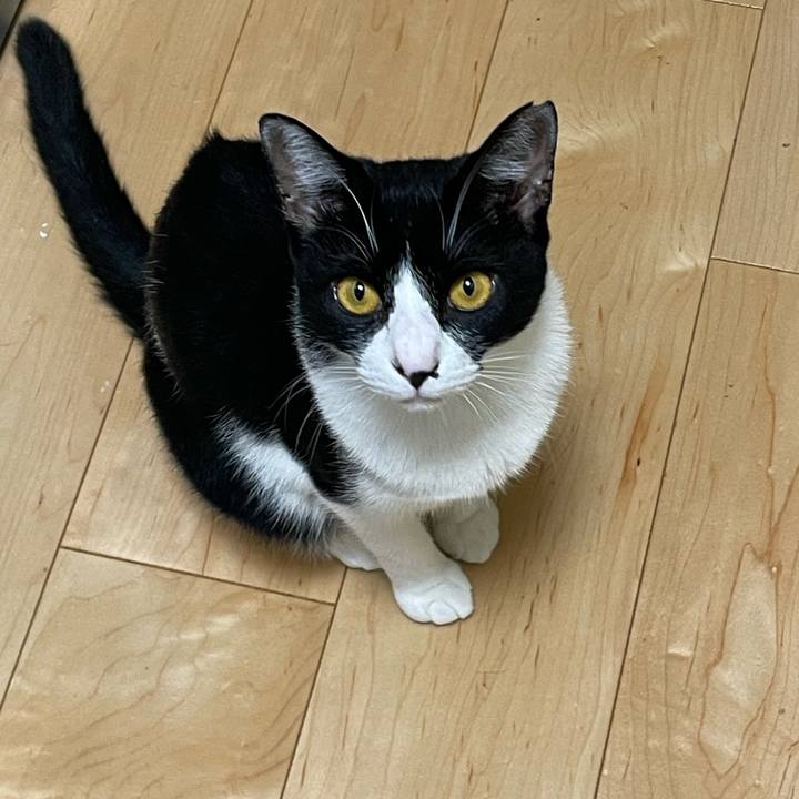 Cc7947e2 7a25 47b6 b324 c7f049d04a95 1693562484506