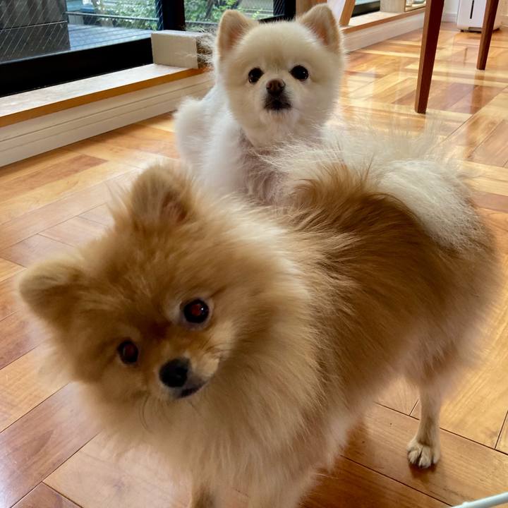 Cc794c54 271d 40d5 b1db 2b7099ded13d 1666310165778