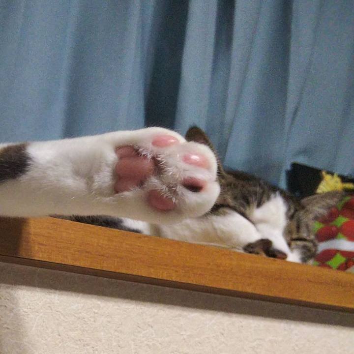 Cc797a96 3845 4cb6 9cc8 aceb90be90cb 1662855227812