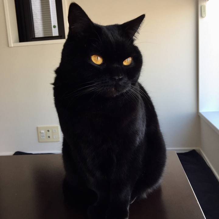 Cc797ca9 9491 446a 965d d705393d9699 1581120954915