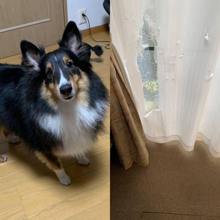 Cc7a1b92 9f4b 460f be27 69adc217d316 1604613604072