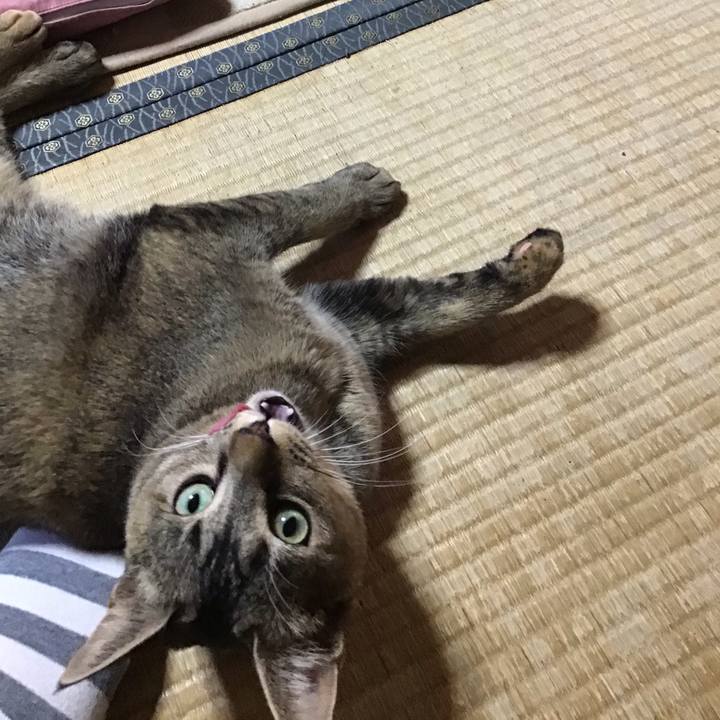 Cc7a769b 8da0 4de3 92b8 37004f738c0e 1581147581682