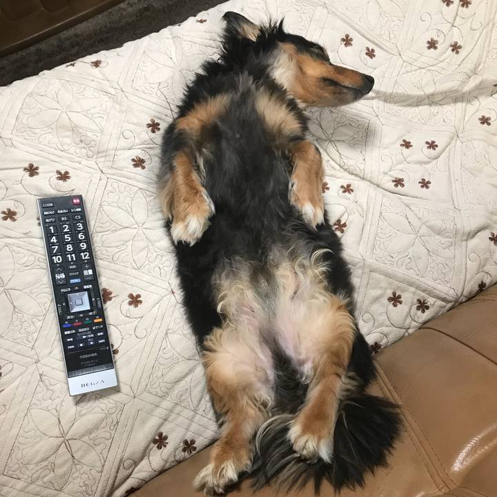 Cc7acc4b 89e3 4090 b769 b312b1dc7496 1515235164786