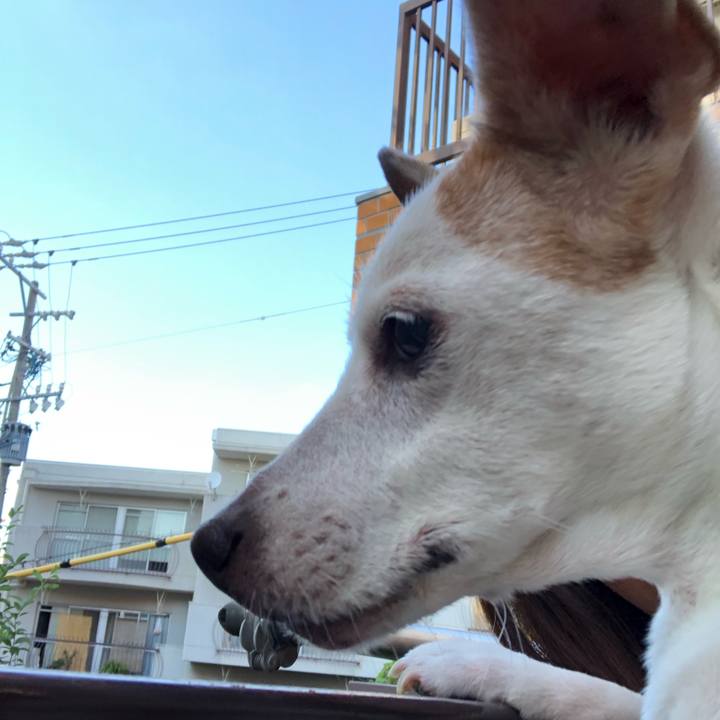 Cc7b0f7c 0dfe 4ec8 9022 6bdd82ddfa3f 1570194594968