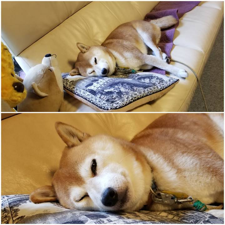 Cc7b17a1 71b2 4c6f b6c0 973937ec3978 1569639974307