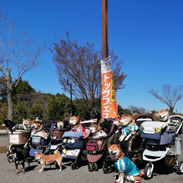 Cc7b2ca4 6faa 45f8 88a4 82c61af4d4bb 1679235981513