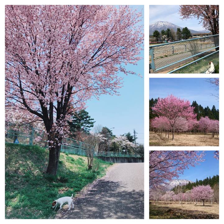 Cc7ba9aa cc5d 4cd1 9896 6a51877f933f 1524389102765