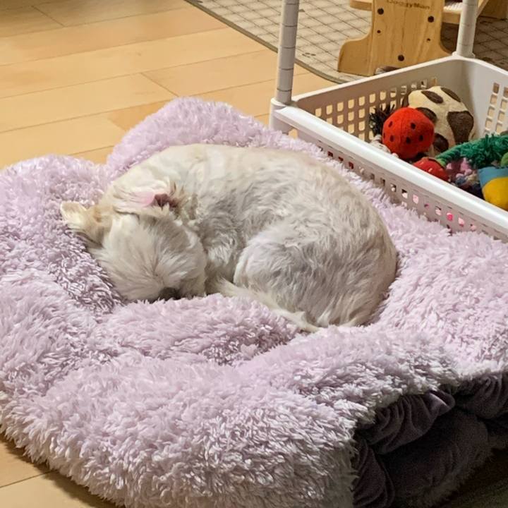 Cc7bcb26 950a 4fdf b0d0 1f54d3163223 1572437755993