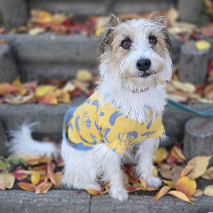 Cc7bf79a 37b1 42db a29f e63c0a7898ea 1763285899081