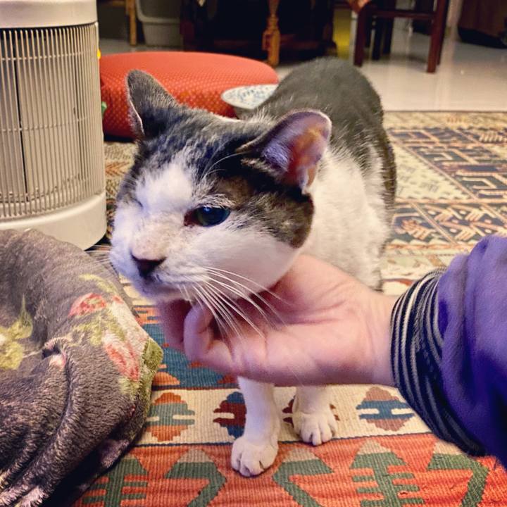 Cc7bfccf 9476 4cef 8d0a 3ca907abb667 1609422593284