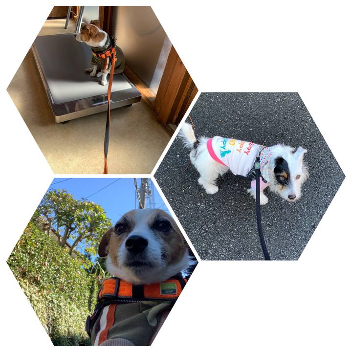 Cc7bff04 1b99 4853 a3ae 33feb8b3c789 1573521044836