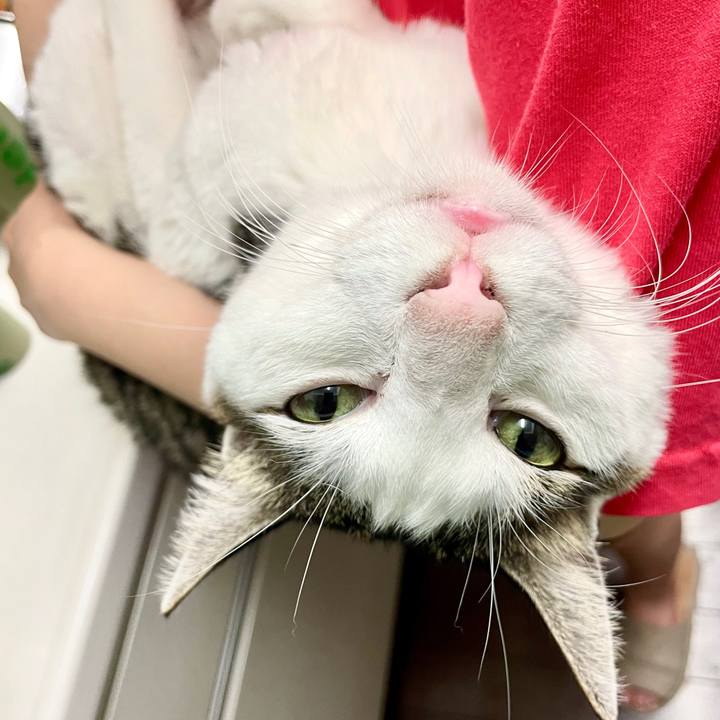 Cc7c02dc f93b 4366 8401 72c0813b8d38 1725976021794