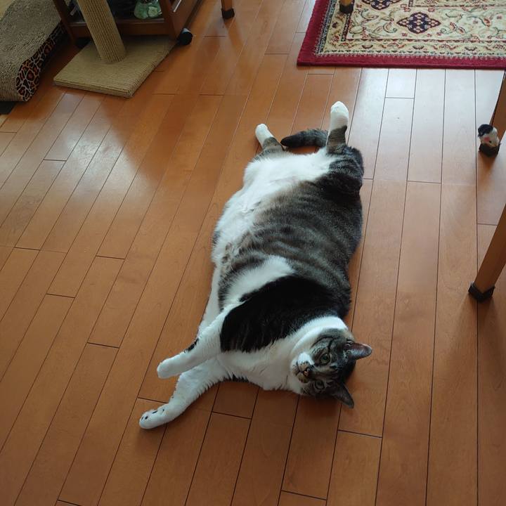 Cc7c0ea1 ce1a 4806 ae97 18cff9dd4eaa 1592710305909