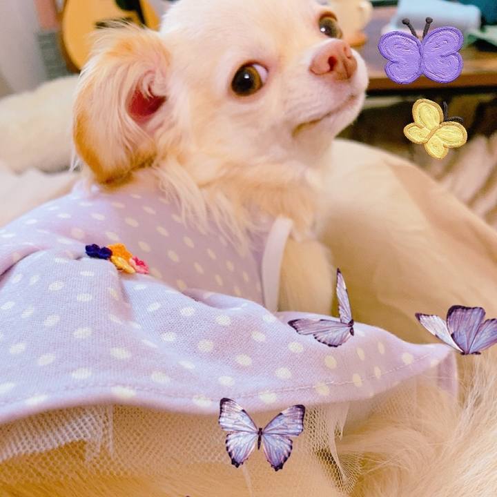 Cc7c0fae 4736 4c21 8d1a 9bd4d8634f46 1625121456334