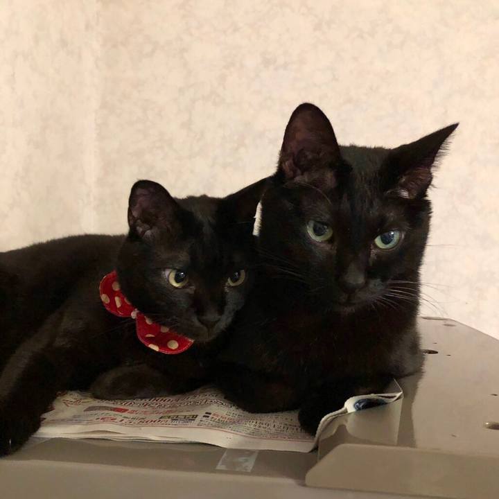 Cc7c1333 9e64 4803 9895 161c182a5149 1546162158511