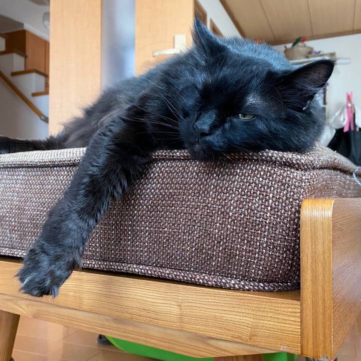 Cc7c323e 8007 41ee 97a0 75e7fde3580f 1614988850766