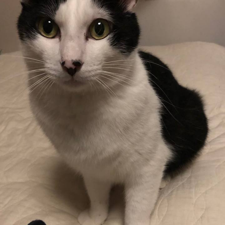 Cc7c5749 3dea 48b1 889e e8e95987fcb6 1562954025634