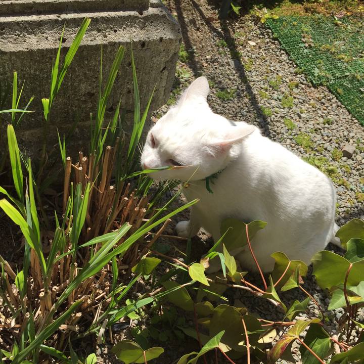 Cc7c7bc2 3c86 4a0e b411 f712a7897bc3 1554515757837