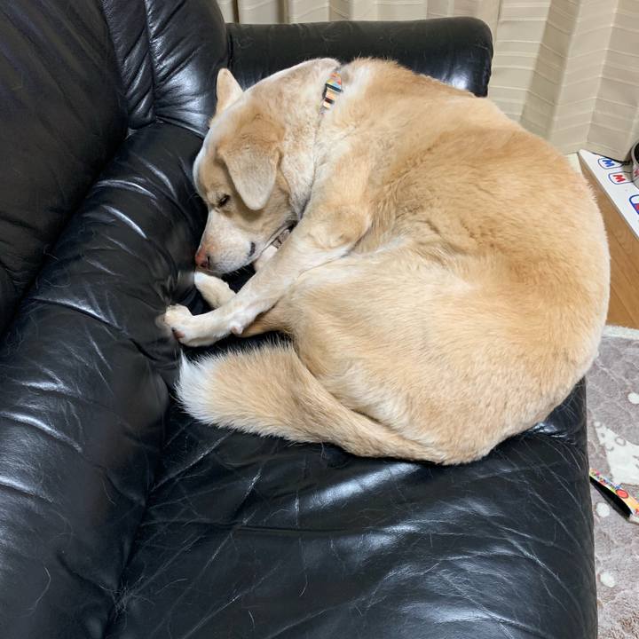 Cc7c7d47 b54e 4202 9719 e617ca546a95 1551538892168