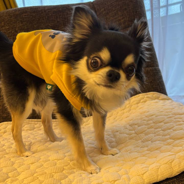 Cc7c8588 dfbd 4e94 9c94 a3e21c6a8653 1743265866561