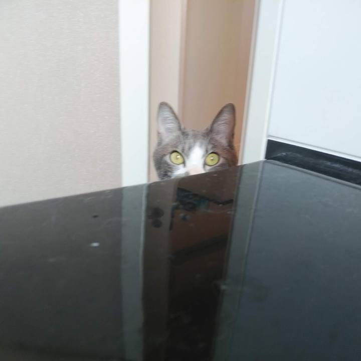 Cc7cb8ed 072e 45fb 9537 5e744038898e 1619322795428