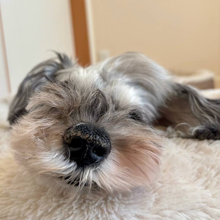 Cc7cd08a 3af6 46b1 af7c 6c51eaa7afe7 1763948374172