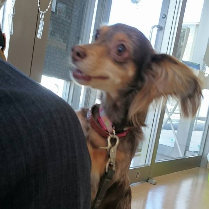 Cc7cd946 1153 4e95 8553 d4a9d82bc68d 1512189955561