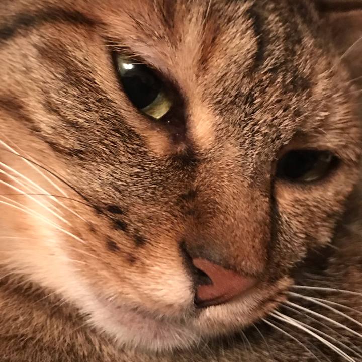 Cc7ce513 3b43 4bcf 90a1 21c2cbaaef69 1592662350363